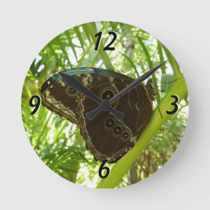 Blue Morpho Butterfly Nature Photography Round Clock