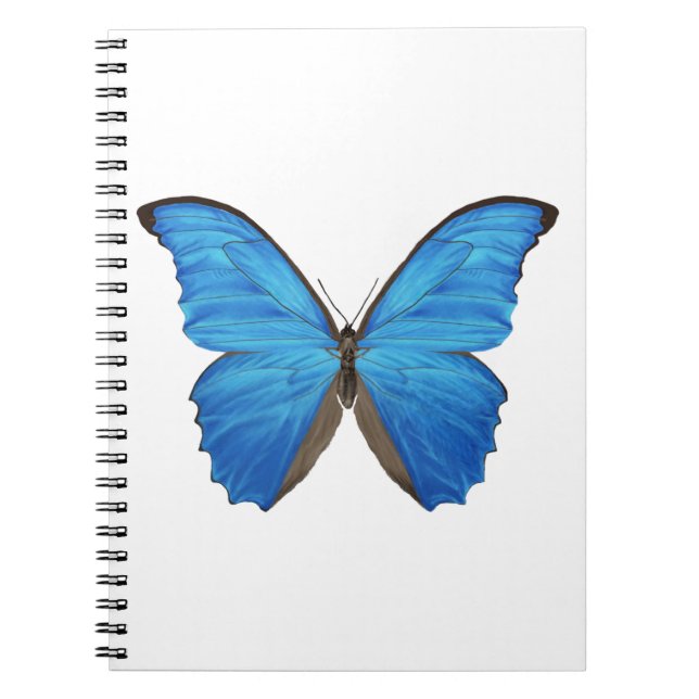 Blue Morpho Butterfly Notebook (Front)