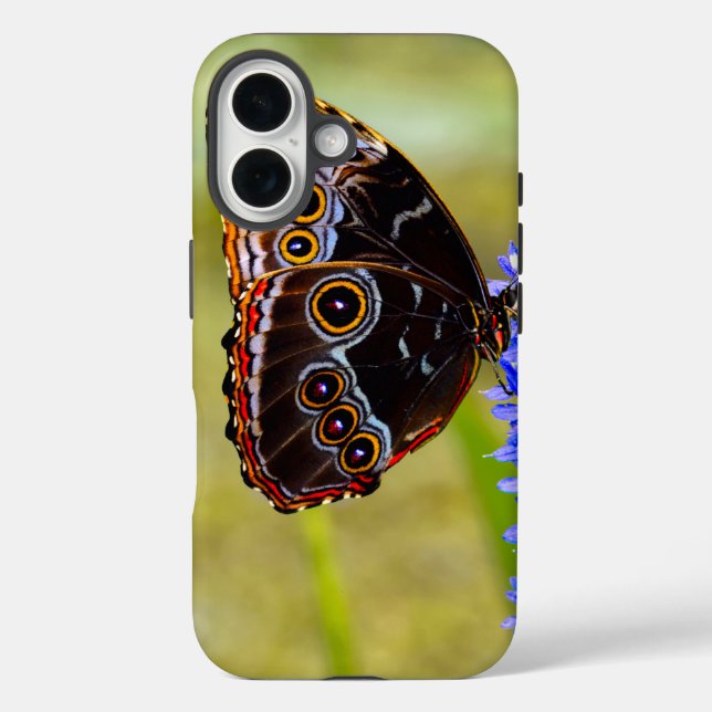 Blue morpho butterfly on a marsh orchid Case-Mate iPhone case (Back)