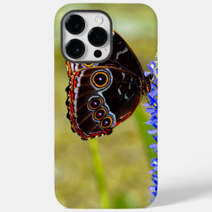 Blue morpho butterfly on a marsh orchid Case-Mate iPhone 14 pro max case