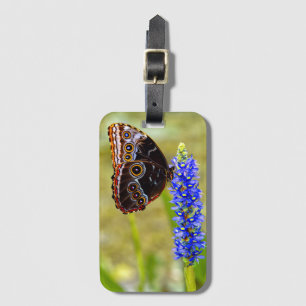 Blue morpho butterfly on a marsh orchid luggage tag