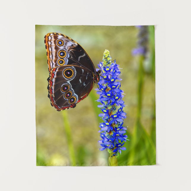 Blue morpho butterfly on a marsh orchid tapestry (Front)