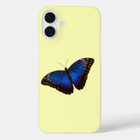 Blue Morpho Butterfly on Canary