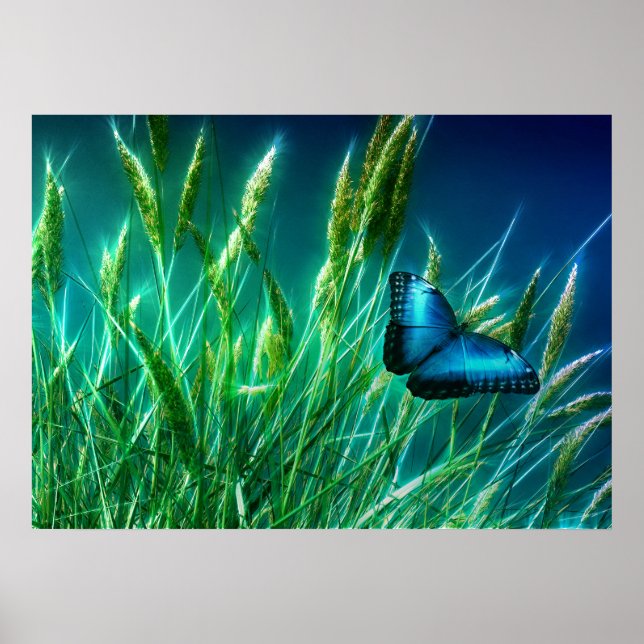 Blue Morpho Butterfly on Green Grass Poster (Front)