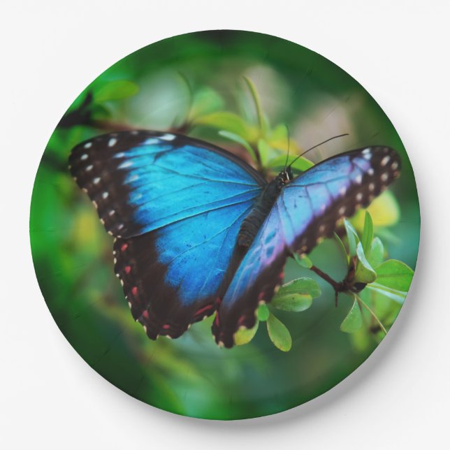 Blue Morpho Butterfly Paper Plate (Front)