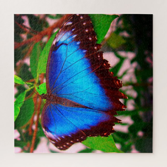 Blue Morpho Butterfly Puzzle (Vertical)