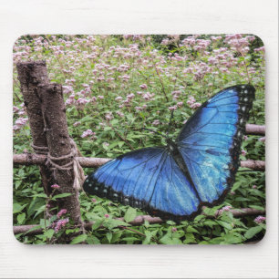Blue Morpho Butterfly Rustic Design Mouse Pad