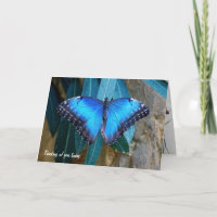 Blue Morpho butterfly thinking of you