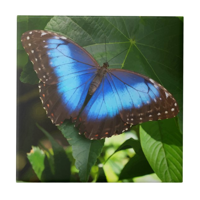 Blue Morpho Butterfly Tile (Front)