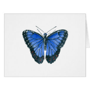 Blue Morpho butterfly watercolor painting