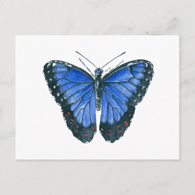 Blue Morpho butterfly watercolor painting Postcard (Front)