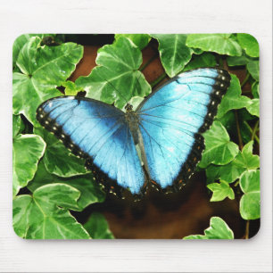 Blue Morpho Mousepad