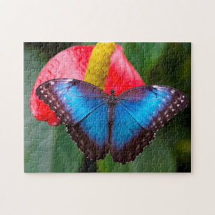 Blue Morphofalter Butterfly. Jigsaw Puzzle