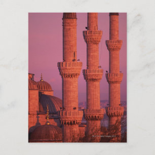 Blue Mosque Postcard