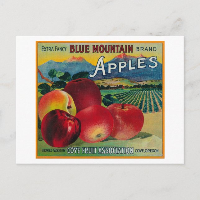 Blue Mountain Apple Crate LabelCove, OR Postcard (Front)