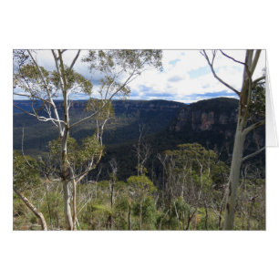Blue Mountains