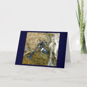 Blue Mud Dauber Wasp Note Card