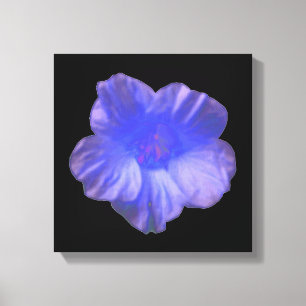 Blue Nasturtium Flower Canvas Print