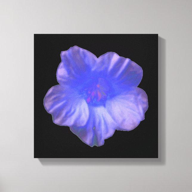 Blue Nasturtium Flower Canvas Print (Front)