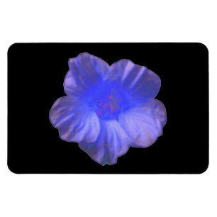 Blue Nasturtium Flower Premium Magnet