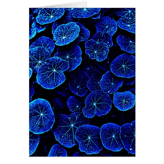 Blue Nasturtium leaves flower card (Front)