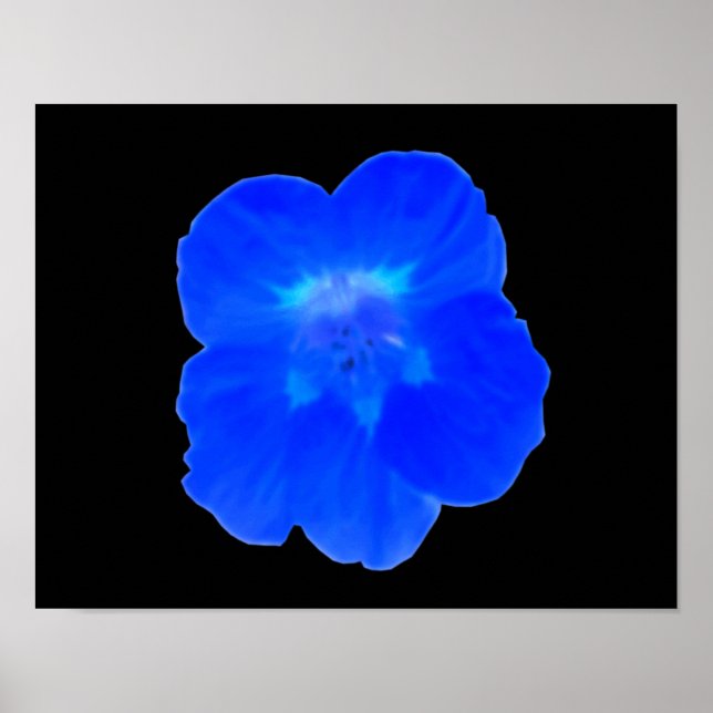 Blue Nasturtium Print (Front)