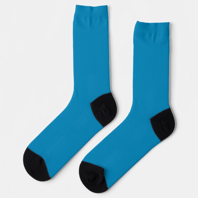 Blue (NCS) (solid colour)  Socks (Left)
