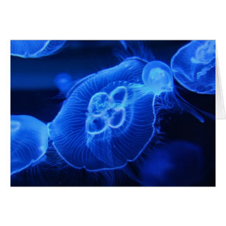 Blue Neon Jellyfish