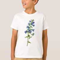 Blue Nettle-Leaved Bellflower Drawn From Nature