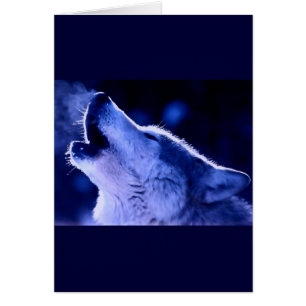 Blue Night & Howling Wolf Greeting Card