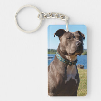 Blue Nose Key Ring