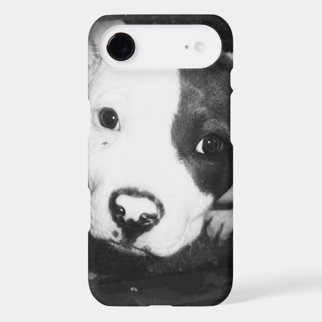 Blue Nose Pitbull Puppy Case-Mate Samsung Galaxy Case (Back)