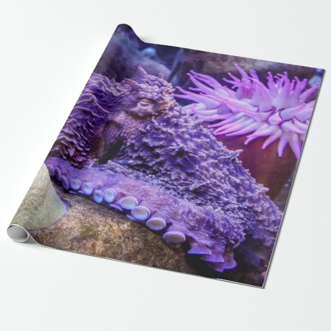 Blue ocean purple octopus wrapping paper (Unrolled)
