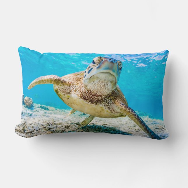 Blue ocean sea turtle face front lumbar pillow (Front)