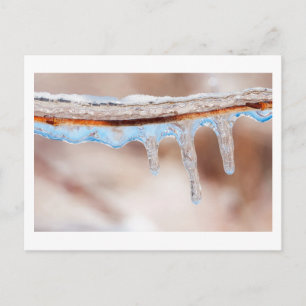 blue on an icy day postcard