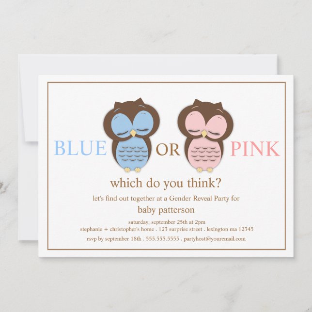 Blue or PInk Little Owls Baby Gender Reveal Party Invitation (Front)