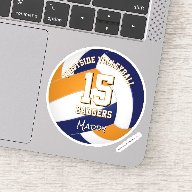 blue orange team colours volleyball player (Detail)