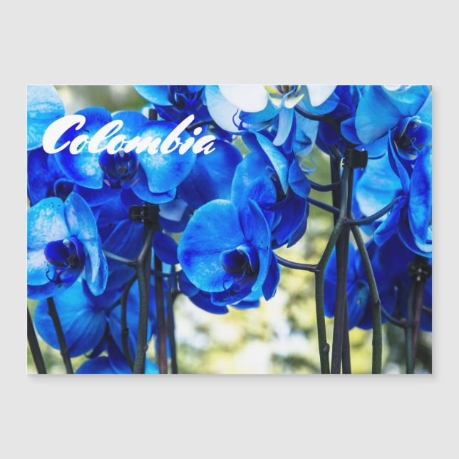 Blue orchids (Front)