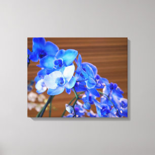 Blue Orchids Canvas Print