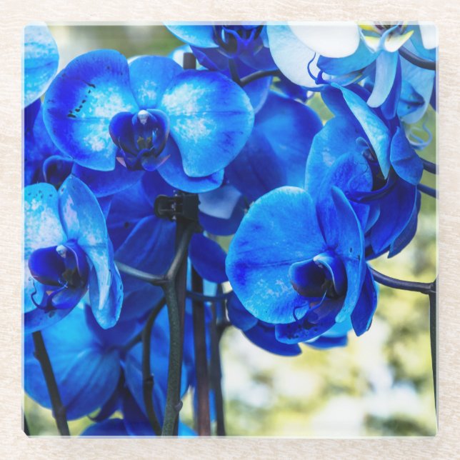 Blue orchids glass coaster (Front)
