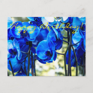 Blue orchids postcard