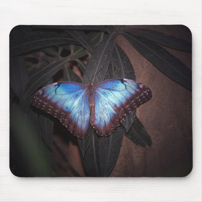 Blue Painted Lady Mouse Pad (Front)