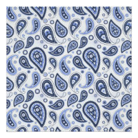Blue Paisley Pattern