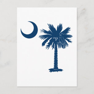 Blue Palmetto Postcard