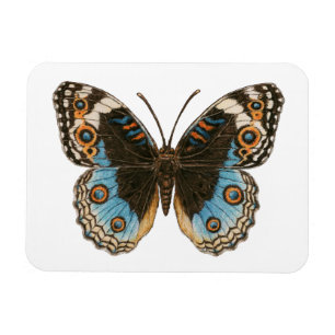 Blue Pansy Butterfly Magnet