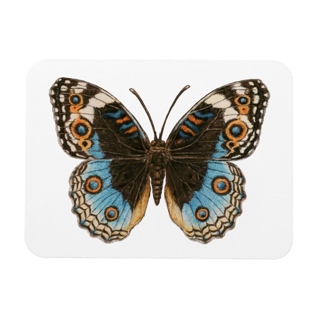 Blue Pansy Butterfly Magnet (Horizontal)