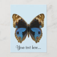 Blue Pansy Butterfly