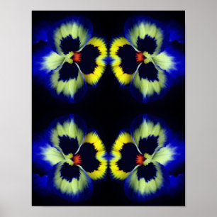 Blue Pansy Flower Abstract  Poster