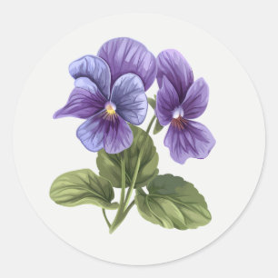 Blue Pansy Garden Flower Floral art Classic Round Sticker