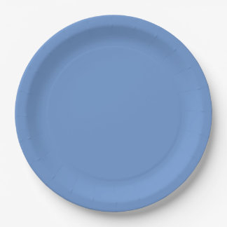 Blue paper plate
